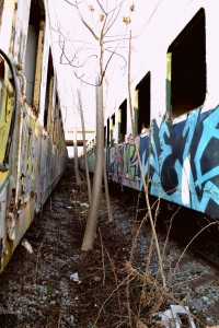 Ghost trains 15